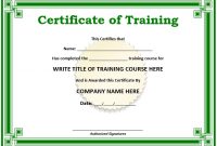 11 Free Sample Training Certificate Templates – Printable with Template For Training Certificate