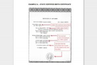 22+ Birth Certificate Templates – Editable & Printable Designs within Official Birth Certificate Template