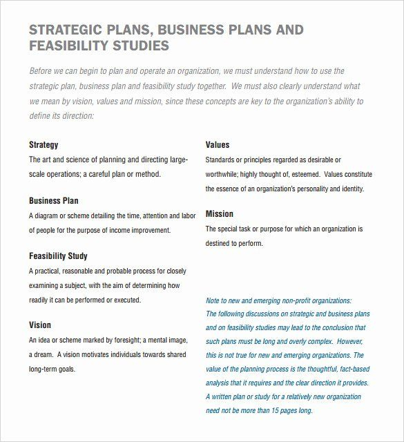 Sample Non Profit Business Plan Template 11  Professional Templates Ideas