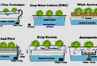 Aquaponics Business Plan South Africa – Business Plan Aquaponics for Aquaponics Business Plan Templates