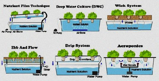 Aquaponics Business Plan South Africa - Business Plan Aquaponics for Aquaponics Business Plan Templates