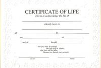 Blank Certificate Of Life In 2020 | Baby Death, Death within Baby Death Certificate Template