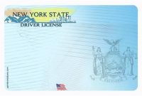 Blank Drivers License Template (6) | Professional Templates inside Blank Drivers License Template