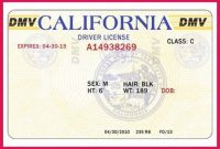 Blank State Id Templates Pdf – Yahoo Image Search Results intended for Blank Drivers License Template