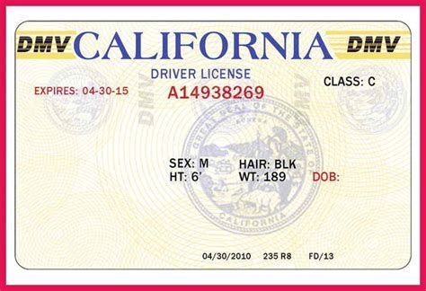 blank drivers license template los santos