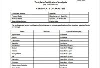 Certificate Of Analysis Template Word – Hillau throughout Certificate Of Analysis Template