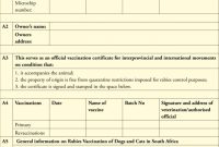 Dentity, Rabies Vaccination And Movement Certificate For intended for Rabies Vaccine Certificate Template
