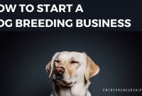Dog Breeding Business Plan Template Examples Pdf Proposal for Dog Breeding Business Plan Template