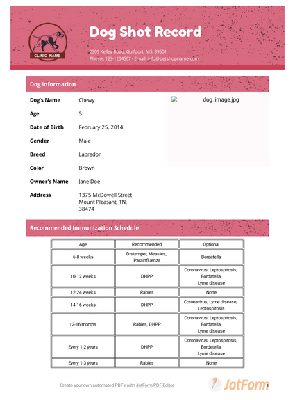 Dog Shot Record Template - Pdf Templates | Jotform with Dog Vaccination Certificate Template