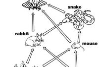 Food Chain Coloring Pages – Coloring Home throughout Blank Food Web Template