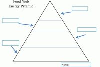Food Web Energy Pyramid Template | Energy Pyramid, Food Web with Blank Food Web Template