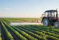 Free 13+ Farm Business Plan Templates In Pdf | Ms Word inside Free Agriculture Business Plan Template