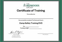 Free 28+ Training Certificate Templates In Ai | Indesign pertaining to Template For Training Certificate