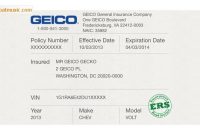 Geico Insurance Card Template – Free Download | Card in Auto Insurance Card Template Free Download