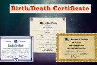 Get Your Fake/real Birth Certificates Online | Buy Novelty for Novelty Birth Certificate Template