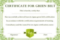 Green Belt Certificate: 10 Unique And Beautiful Templates inside Green Belt Certificate Template