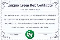 Green Belt Certificate: 10 Unique And Beautiful Templates with regard to Green Belt Certificate Template