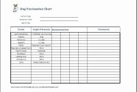 Immunization Record Sample Elegant Dog Shot Records intended for Dog Vaccination Certificate Template