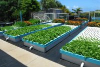 Micro Greenhouse Package inside Aquaponics Business Plan Templates