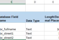 Microsoft Dynamics Crm Data Dictionary Example And Template pertaining to Business Data Dictionary Template