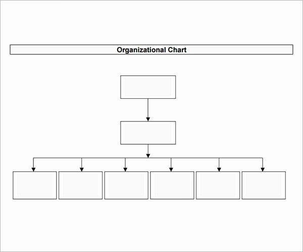 Nonprofit Organizational Chart Template Beautiful 10 for Free Blank Organizational Chart Template