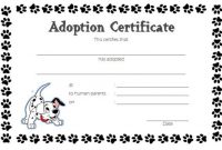 Pet Adoption Certificate Templates Word Biya Stuffed Animal in Pet Adoption Certificate Template