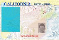 Pin On Ca Drivers License in Blank Drivers License Template