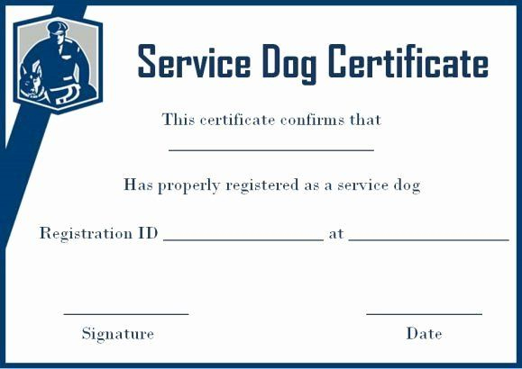 Pin On Certificate Customizable Design Templates intended for Service Dog Certificate Template