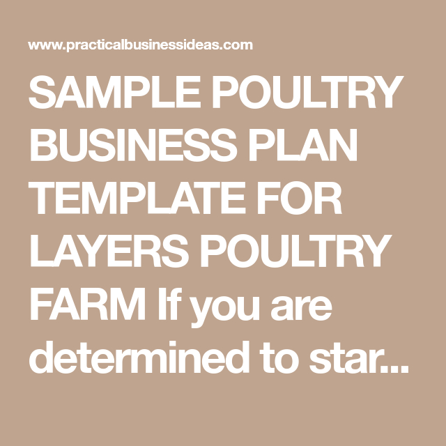 Poultry Farming Business Plan Sample Template | Business inside Free Poultry Business Plan Template