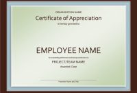 Professional Certificate Of Appreciation Template For with Professional Award Certificate Template