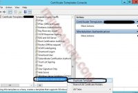 Sccm 2012 : Client Authentication Certificate Templates in Workstation Authentication Certificate Template