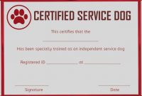 Service Dog Certificate Template : 10+ Word Templates (For inside Service Dog Certificate Template