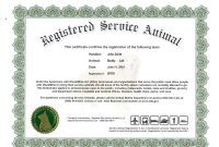 Service Dog Certificate Template Frightening Ideas Training in Service Dog Certificate Template