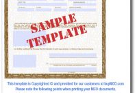 Standard Mco Template throughout Certificate Of Origin For A Vehicle Template