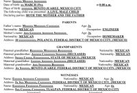 Templating As A Strategy For Translating Official… – Meta in Mexican Birth Certificate Translation Template