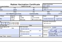 Usda Aphis | Preparing And Receiving Pets For Air Travel pertaining to Rabies Vaccine Certificate Template