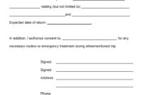 10 Free Sample Travel Consent Form – Printable Samples intended for Notarized Letter Template For Child Travel